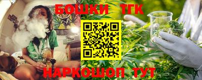гидропоника Партизанск