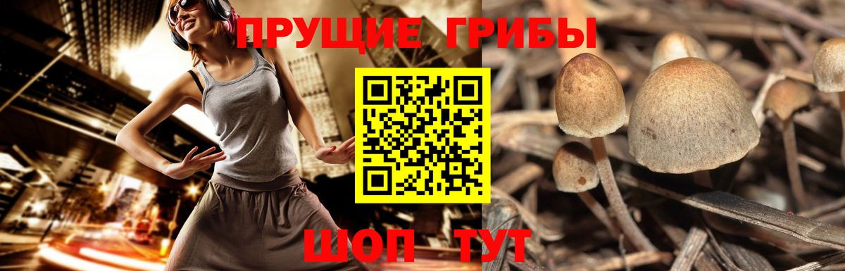 Сатка  Галлюциногенные грибы Magic Shrooms  Вход с VPN 